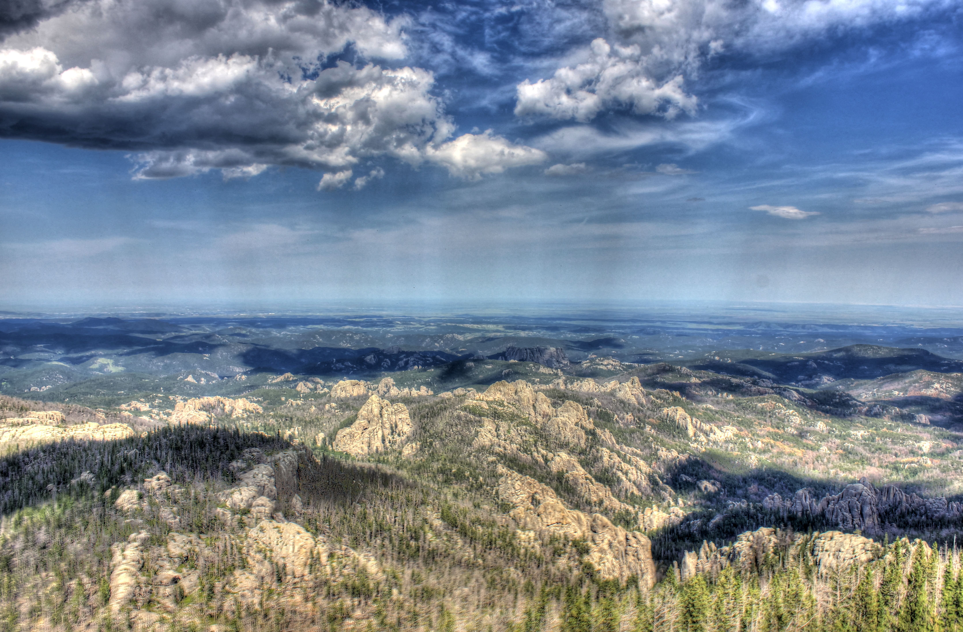 Landscape of Black Hills