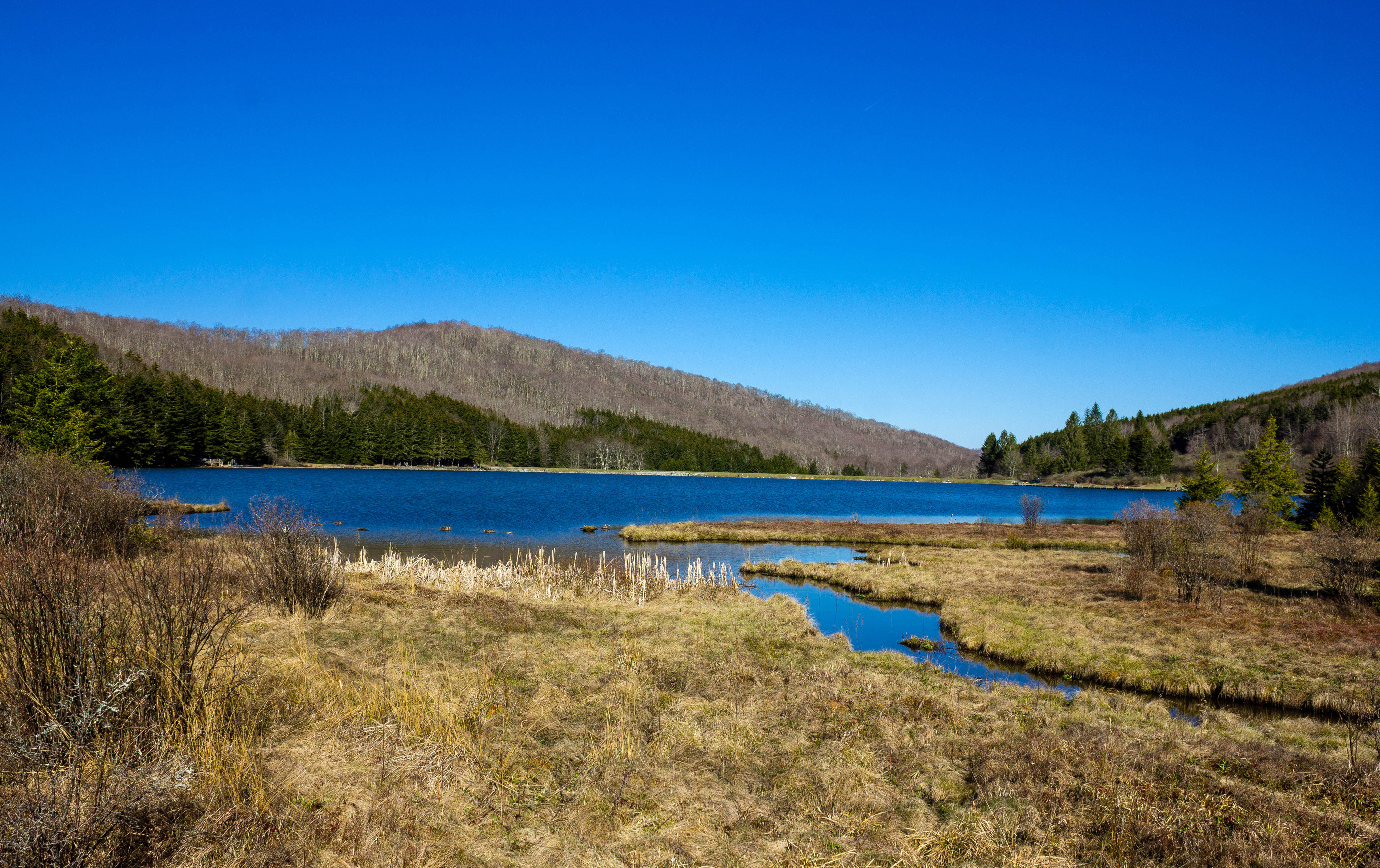 Spruce Knob Lake