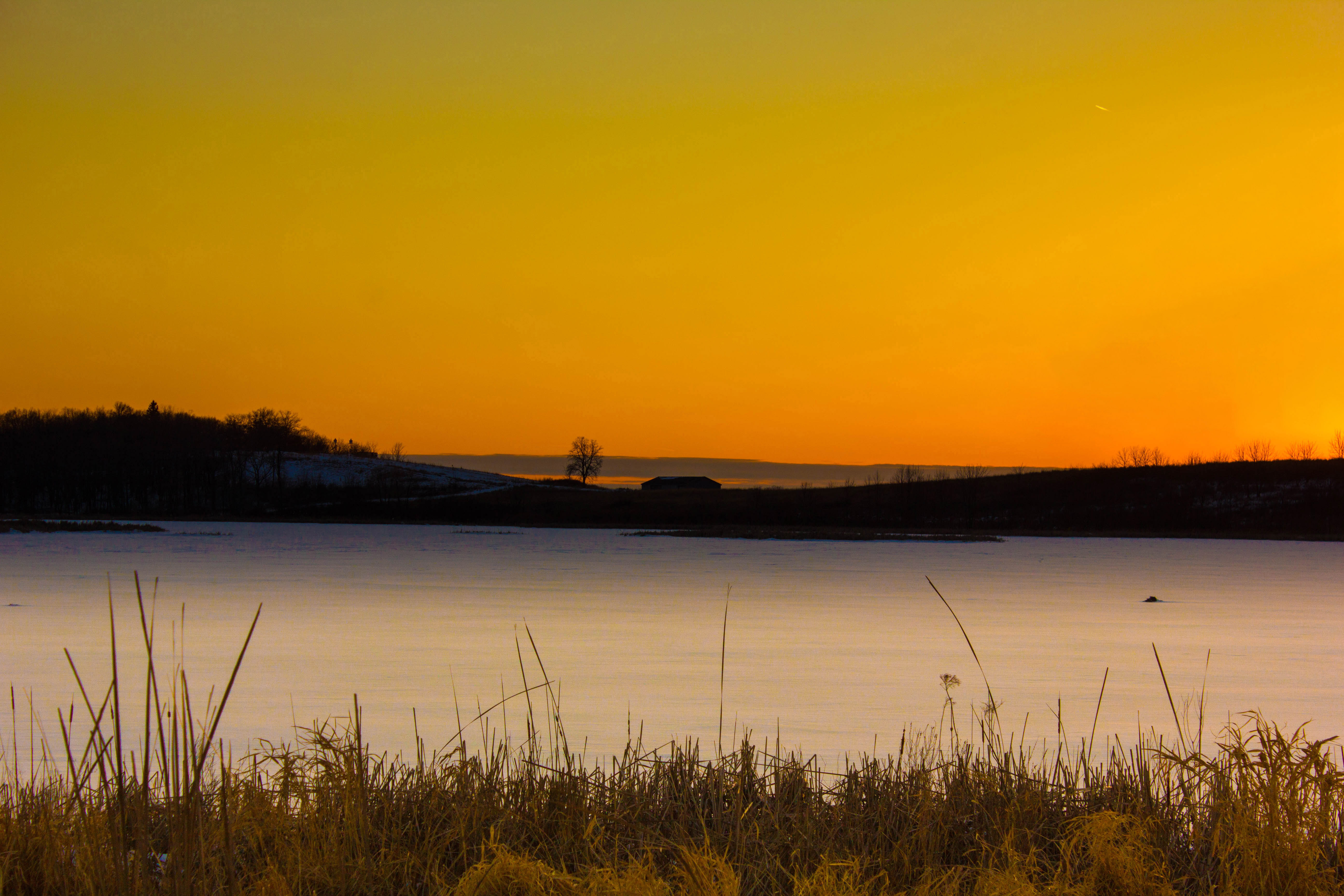 Orange Dusk