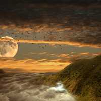 Moonrise Landscape Illustration