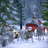 Several Dalmatians Pulling a Christmas Sleigh