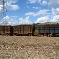 Typical sugarcane harvest transport near Ribeirão Preto, Brazil