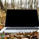 Laptop sitting on leaves on the forest floor