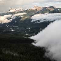 Wall of Fog over the forest at Banff National Park, Alberta, Canada