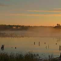 Morning at the Lake at Elk Island National Park