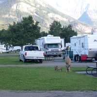 Waterton Town Campground with trailers and cars in Waterton Lakes National Park