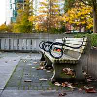 Benches in Harbour Green Park in Vancouver, British Columbia, Canada