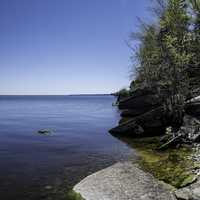 Trees on the calm shoreline in Hecla Provincial Park