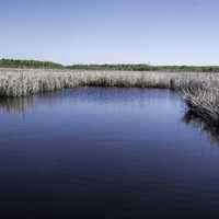 Water flowing through the wetlands at Hecla Provincial Park