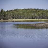 Lakeside landscape with trees on the Ingraham Trail