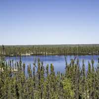 Pond in the forest overlook on the Ingraham Trail