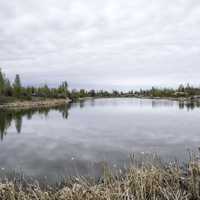 Wetlands and Lakes on the Ingraham Trail
