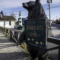 Bear Holding a Ragged-Ass road sign, Yellowknife