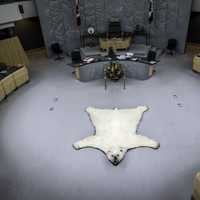 Polar Bear Rug in the Congress Room in Yellowknife