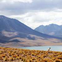 Landscape of mountains, clouds, desert, and lake in Chile