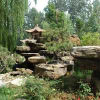 Rocks and Trees in a park in Jinan, Shangdong, China