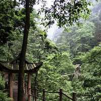 Wooden bridgewalk over the Crystal Stream in Mount Emei, Sichuan, China