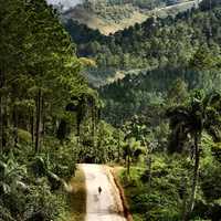 Country road landscape in Cuba