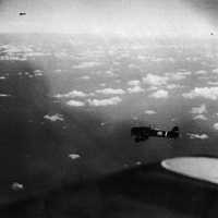 Japanese carrier dive bombers during the Battle of Coral Sea, World War II