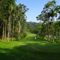 Golf Course with tropical trees in India