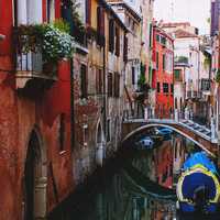 The Busy Waterways of Venice