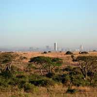 Game Preserve with Nairobi in the Background