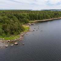 Aerial View of lake shoreline with forest