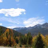 Fall trees and Foliage with mountains landscape