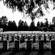 Memorial Cemetary in black and white