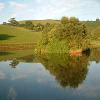 Pond and Serene Landscape with reflections