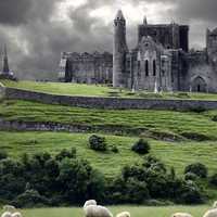 Stormy castle ruins and field with sheep