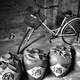 Bike with jugs of wine black and white
