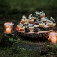Cupcakes and candles in the woods