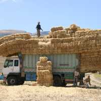 Large Bales of Hay on truck