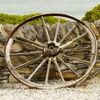 Old Wilted Wheel leaning on side