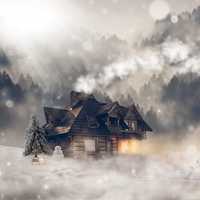 Snowfall scene with cabin in the pine forest