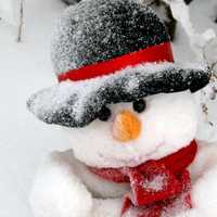Snowman with face and hat