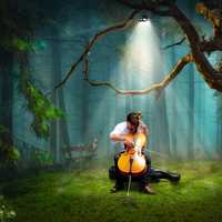 man-playing-the-cello-with-light-coming-down