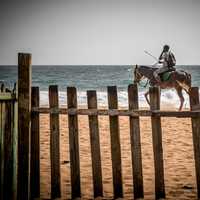Man riding a horse on the beach by the ocean