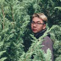 man-with-glasses-in-middle-of-pine-tree-stock-photo