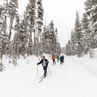 Cross-country skiing North Rim Drive in Yellowstone National Park