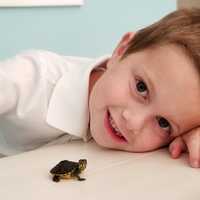 young-child-with-small-turtle-on-desk