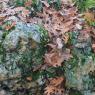 Rocks and Crystals