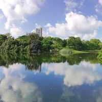 Eco lake in Singapore