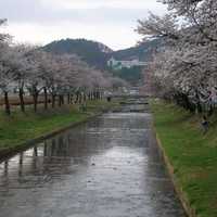 Mojeoncheon River and Trees in Mungyeong, South Korea