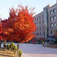 Sungkyunkwan University in Suwon, South Korea
