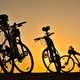 Bicycles in the sunset