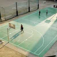 People on Basketball Court