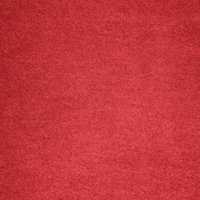 Interior of red shirt
