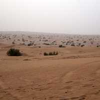 Desert and Sand Landscape 